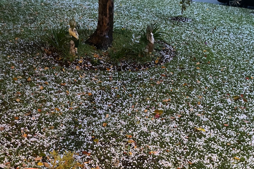 Hail on the ground in a backyard at Walkerville