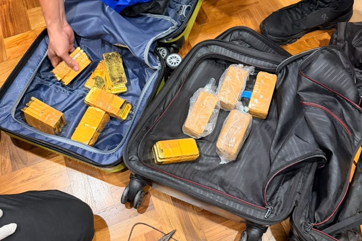Behind a secret safe, police find 74kgs of gold bars in suitcases