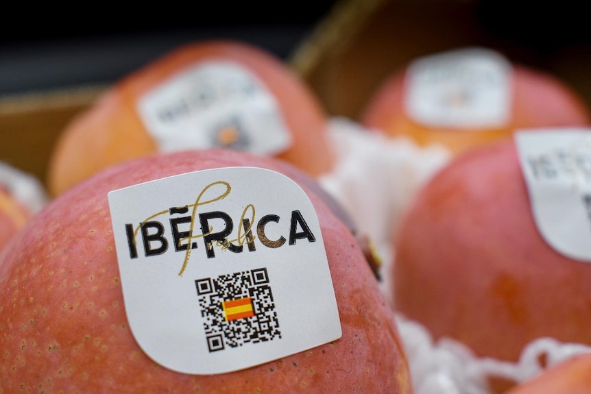 Mango de la marca QR