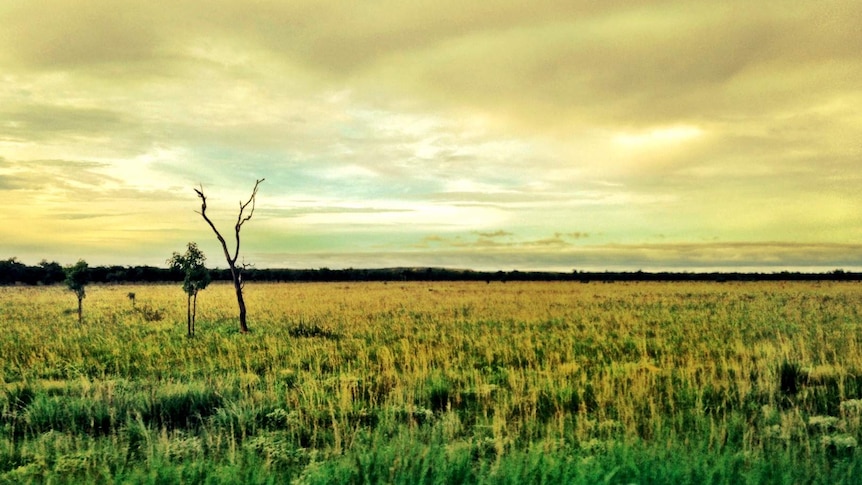 Savannah Way near Borroloola in the Northern Territory