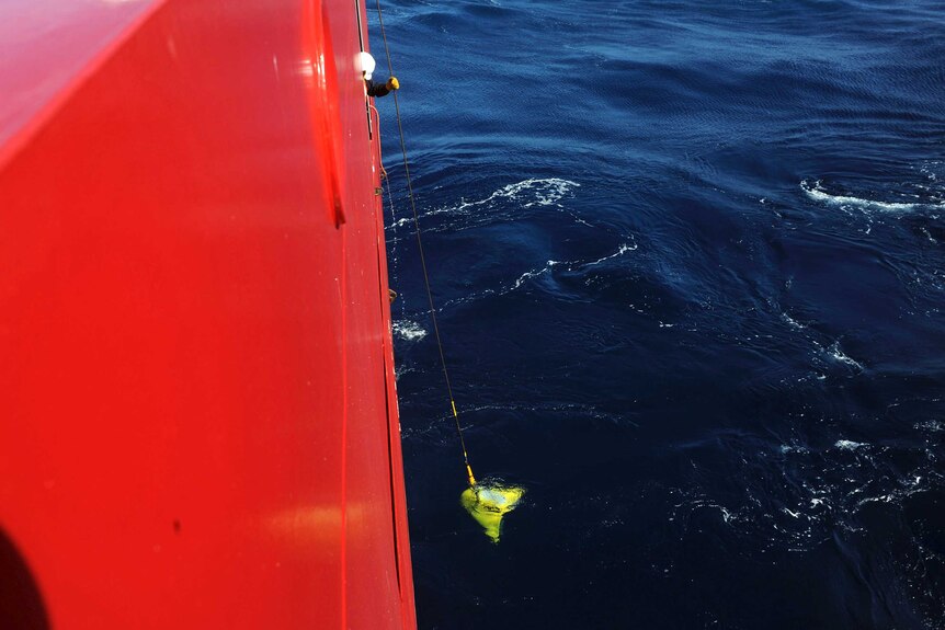 Pinger locator lowered into ocean