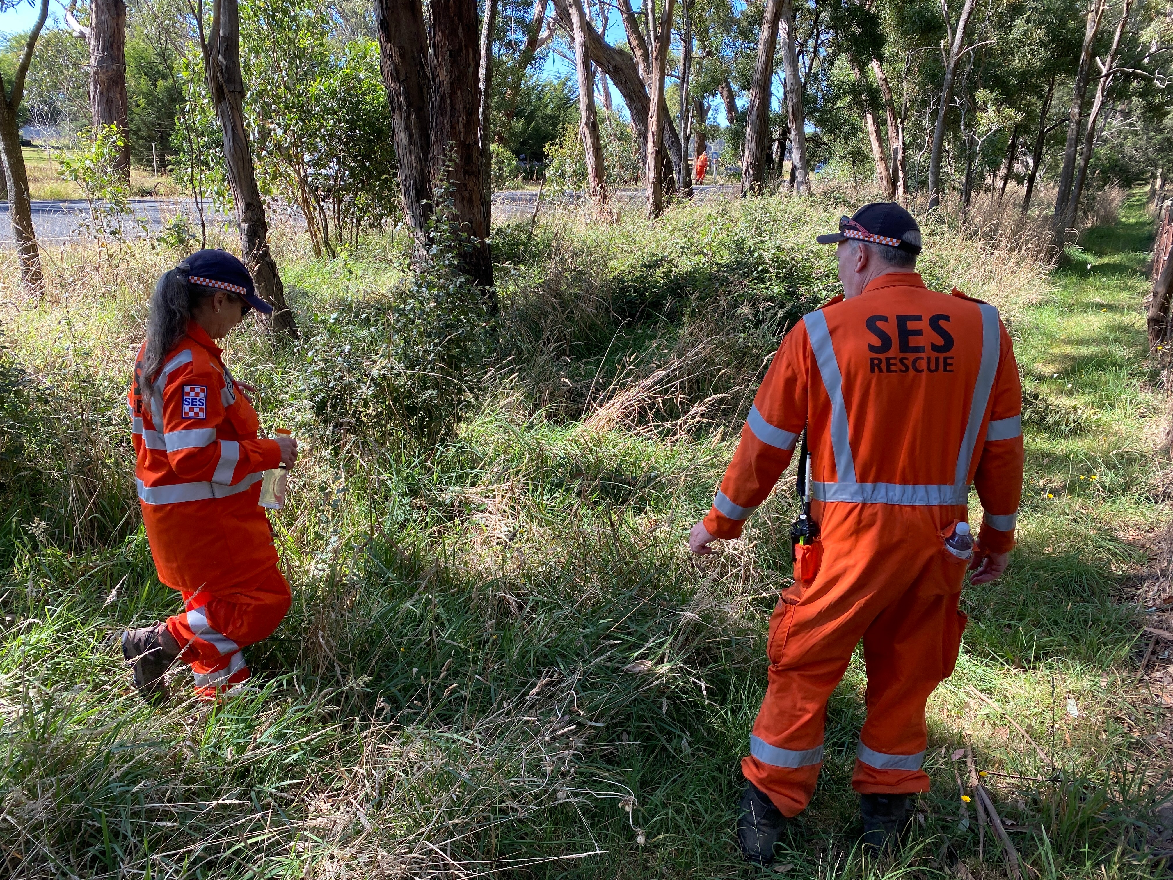 Two SES members wearing orange uniforms walking through long grass