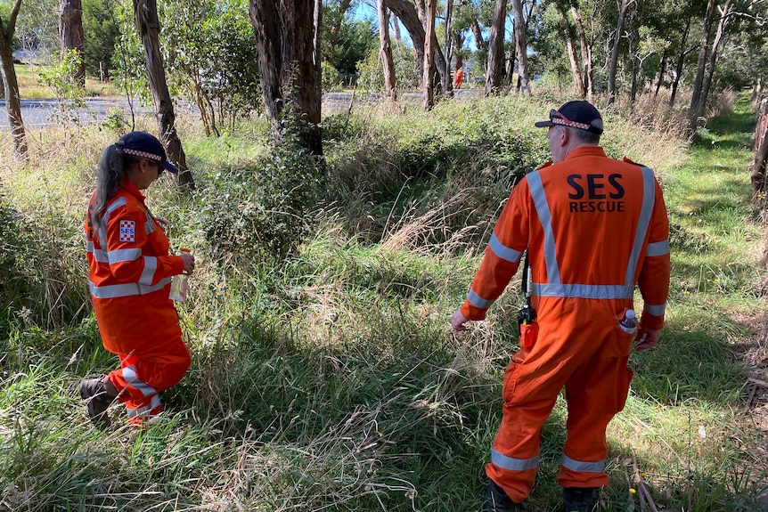 Two SES members wearing orange uniforms walking through long grass