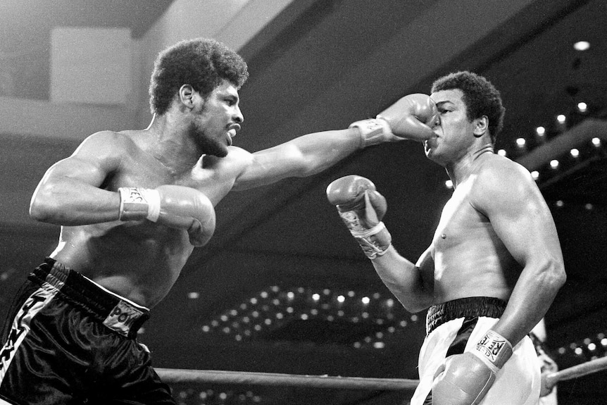 Leon Spinks punches Muhammed Ali in the nose with a straight left