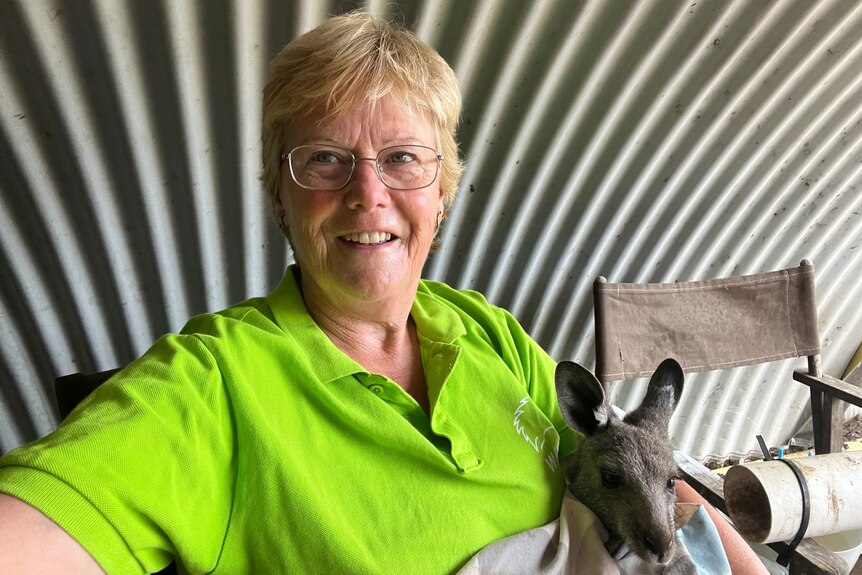 A woman nurses a joey kangaroo.