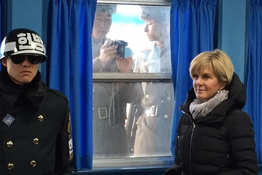 Julie Bishop in the Korean demilitarised zone (DMZ).