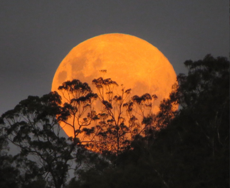 When Is The Best Time To See Tonight's August 'blue' Supermoon? Here's ...