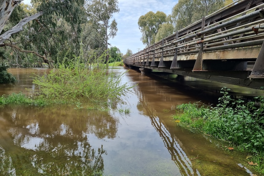 A bridge over the swollen Lachlan River, with water getting higher.