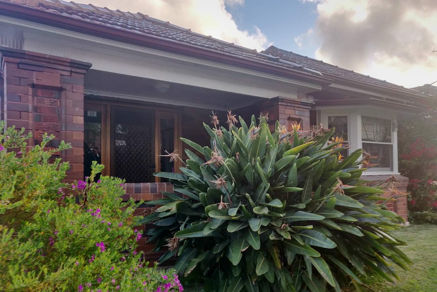 exterior of a suburban home covered in plants