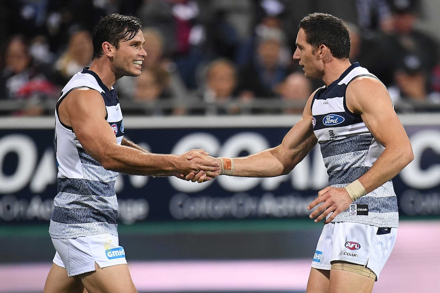 Tom Hawkins (L) and Harry Taylor celebrate a Cats goal against the Bulldogs.