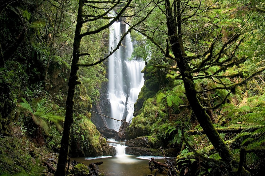 A large waterfall in a forest