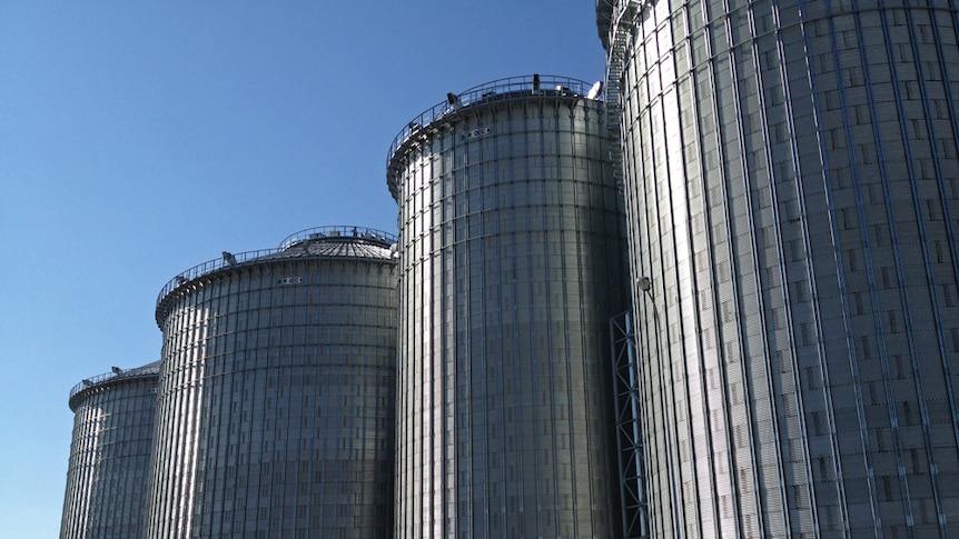 Silos at Newcastle Agri Terminal