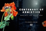 A hand illustrated poppy next to the slogan 'Centenary of Armistice: who will you pause for?' and the ABC logo