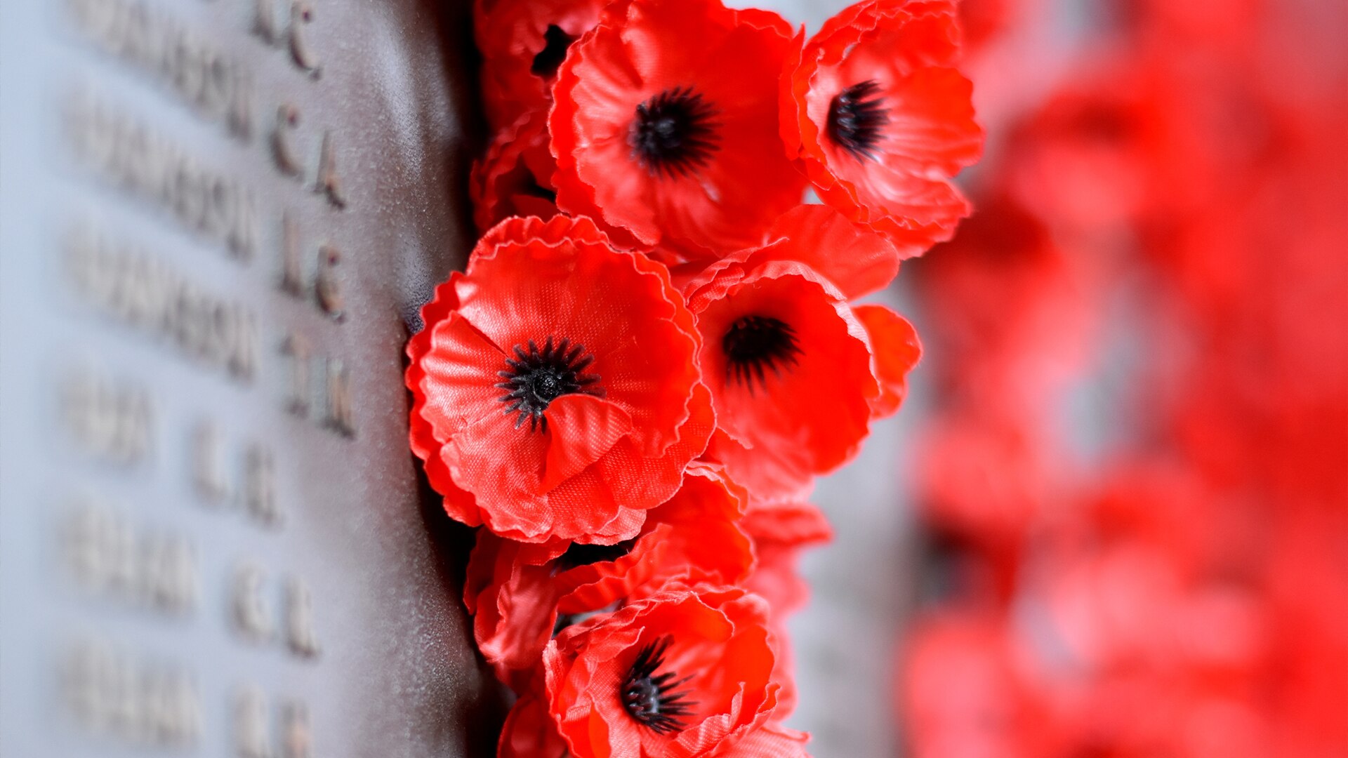 Poppies attached to a bronze wall with inscribed names.