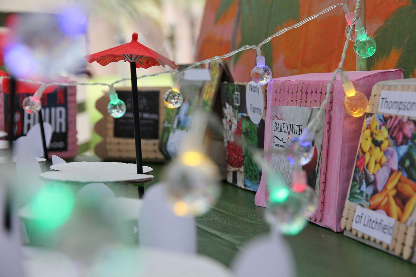 Darwin crafts a colourful, cardboard version of itself on civic lawns