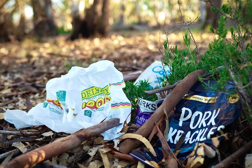 a chip packet, a toilet paper wrapper and other rubbish lay in a shrub within a national park