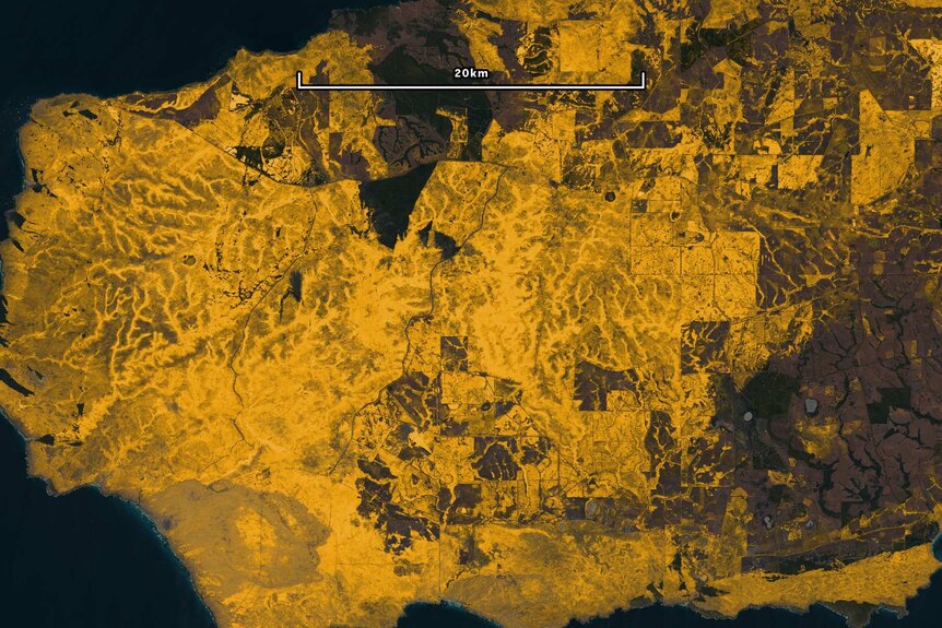 Satellite imagery showing fire scarring on Kangaroo Island