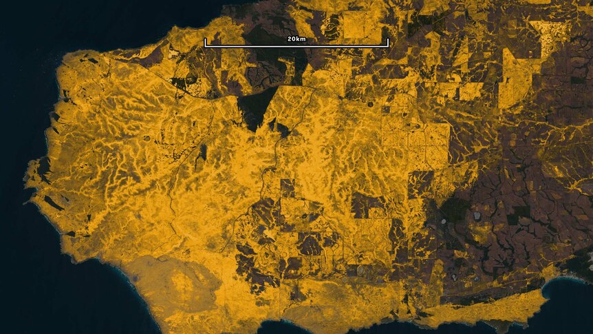 Satellite imagery showing fire scarring on Kangaroo Island