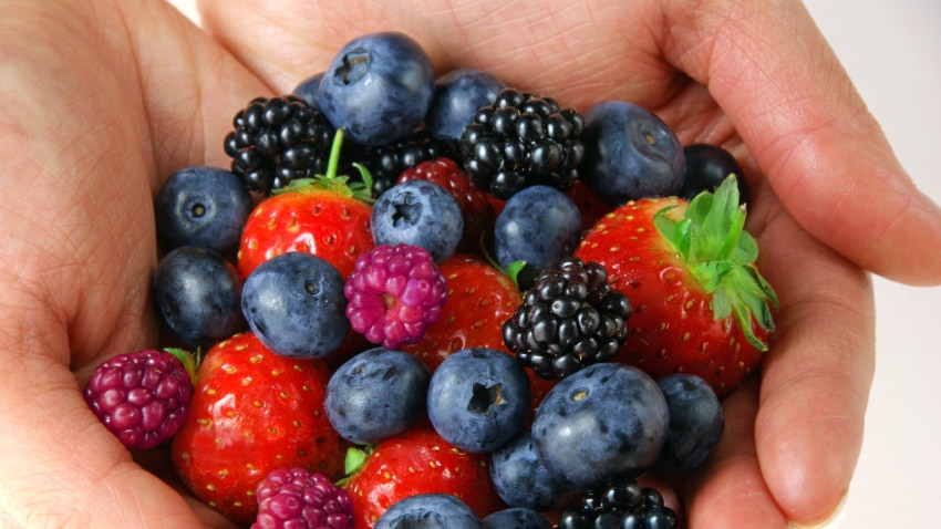 A persons two hands cupped together holding a variety of berries.