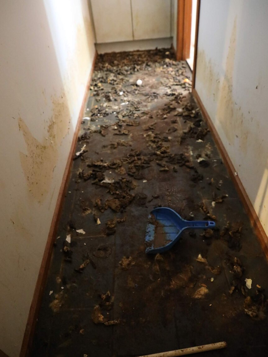 A hallway covered in faeces.