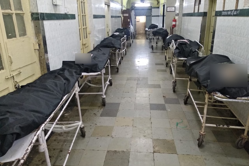 A photo of body bags on stretchers along a hospital corridor