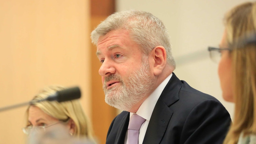 Mitch Fifield sports a beard and speaks into a microphone during Senate estimates.