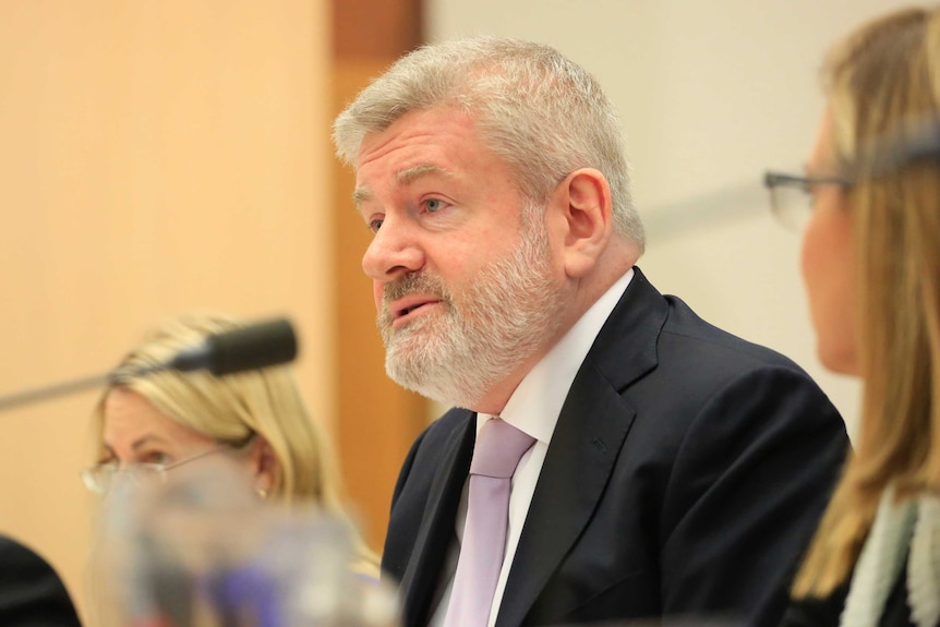 Mitch Fifield sports a beard and speaks into a microphone during senate estimates.