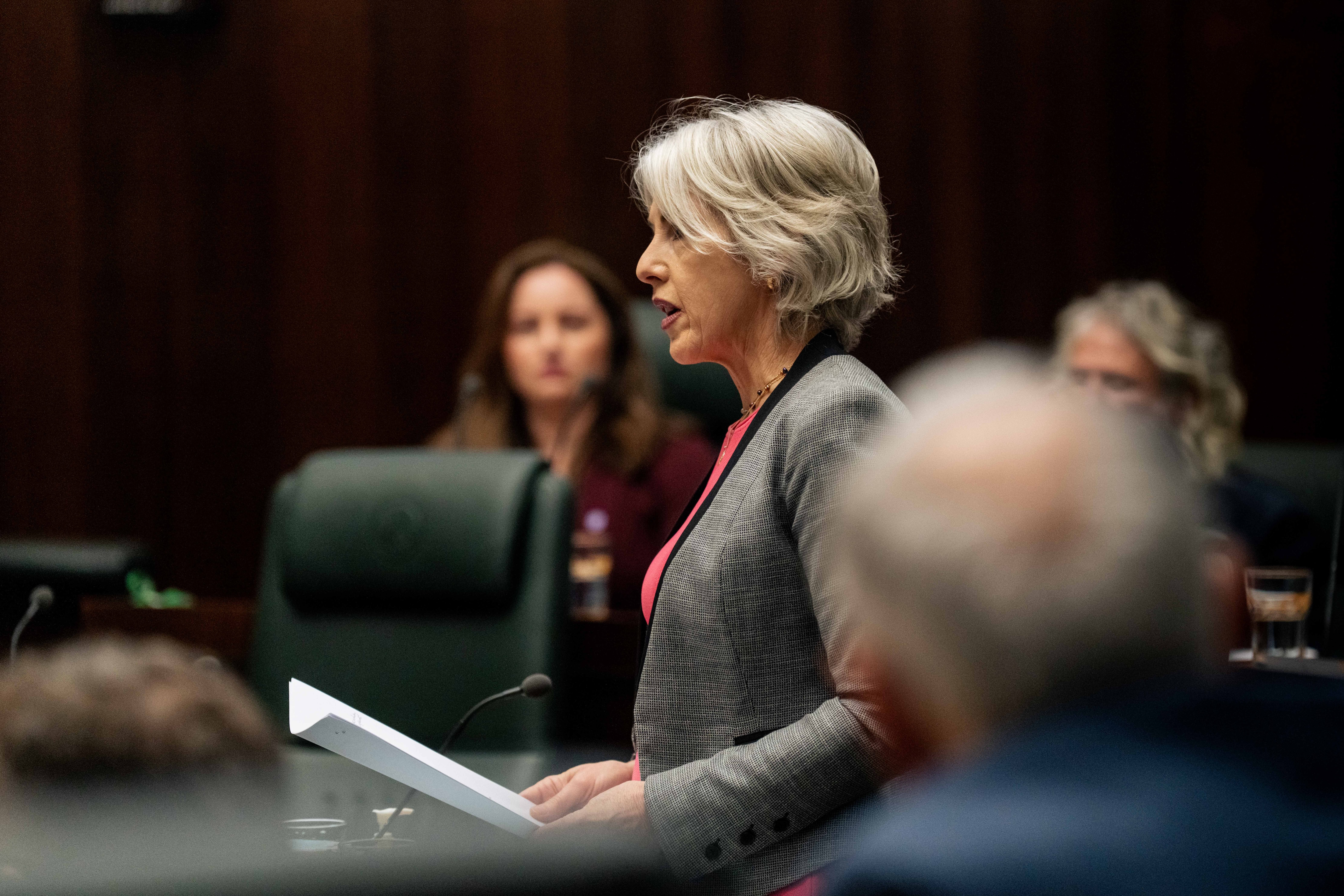 A woman dressed formally stands and speaks in parliament among others