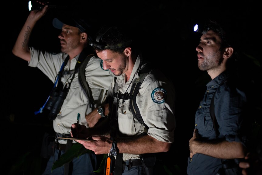 A ranger and a university researcher use headlamps to spot possums while another ranger records details of the sighting.