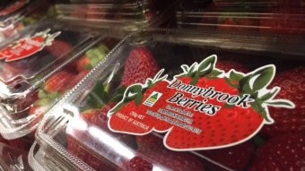 A punnet of strawberries labelled Donnybrook