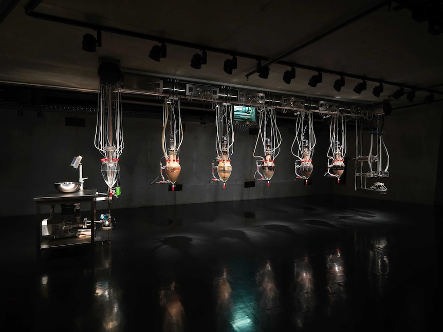 Cloaca Professional, 2010, Wim Delvoye