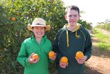 Two young boys holding oranges in front of a tree 