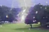 Lightning is seen striking a tree in a crowd of people.
