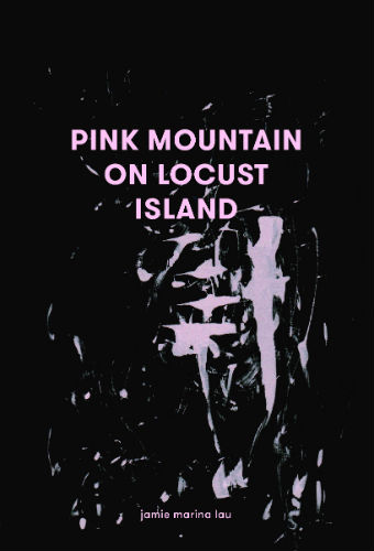 A book cover with a black background and an abstract pink design below the book's title.