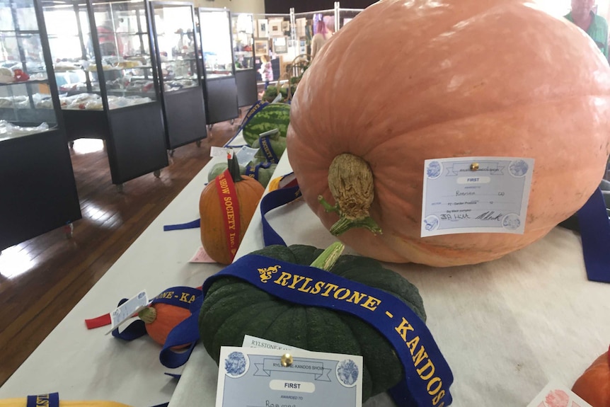 A huge orange pumpkin behind a regular sized green one among other produce on a table.