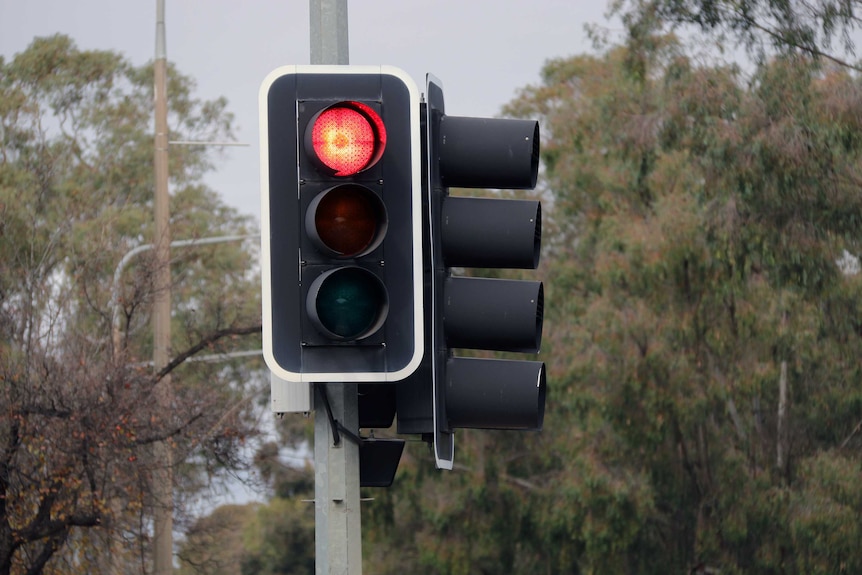 A traffic light turns red on Northbourne Avenue.