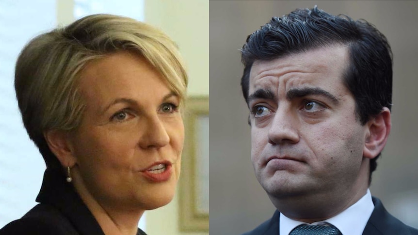 A composite image of Tanya Plibersek and Sam Dastyari.