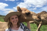 Camel farmer Yasmin Brisbane from Q Camel, smiles as she embraces one of her camels in a paddock.