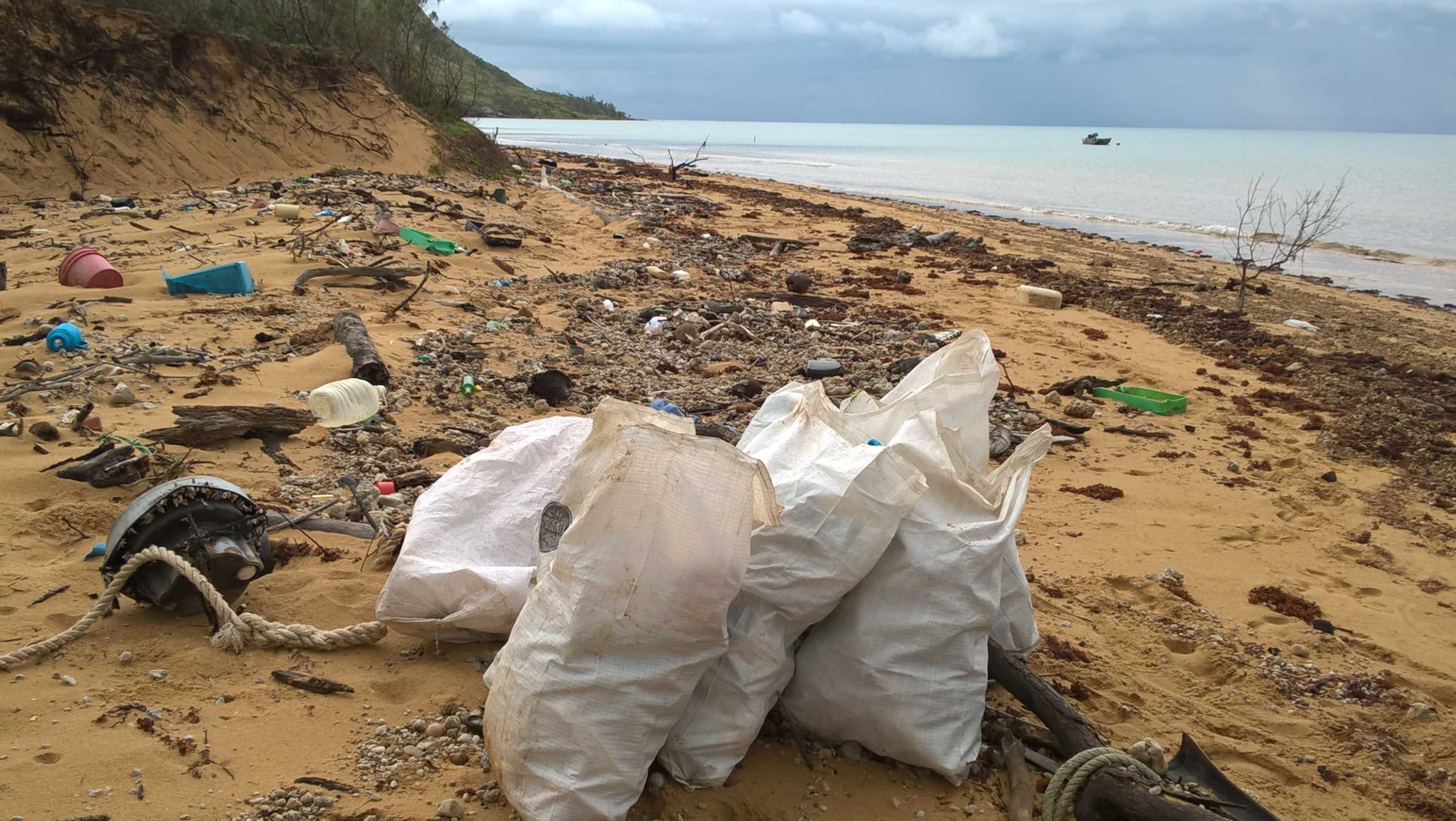 Vietnam veteran's one-man war on waste inspires community to clean up ...