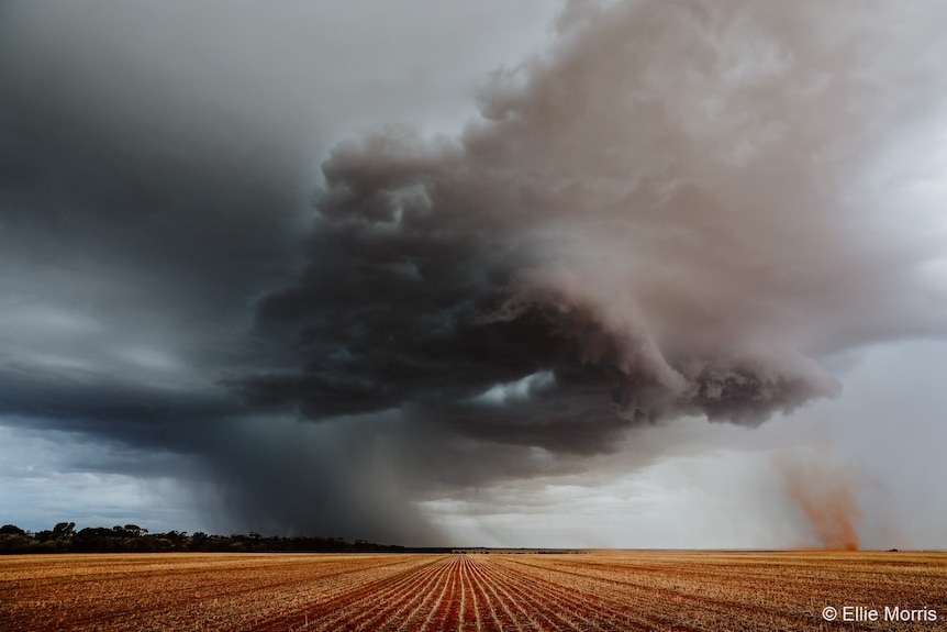 Dark clouds billowing over a brown field. Trees in the distance. 