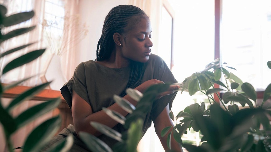 Woman looking at indoor plants for story about how indoor plants are more interesting than they seem