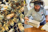 A split image of a queen bee in a hive with other bees, and queen-bee breeder Michael Keim putting some bees in the mail.