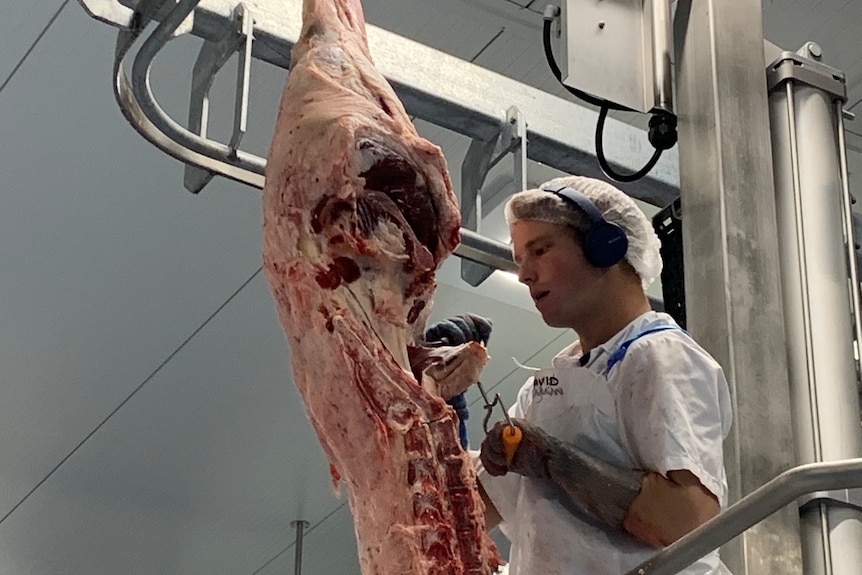 Photo of a man working in an abattoir.