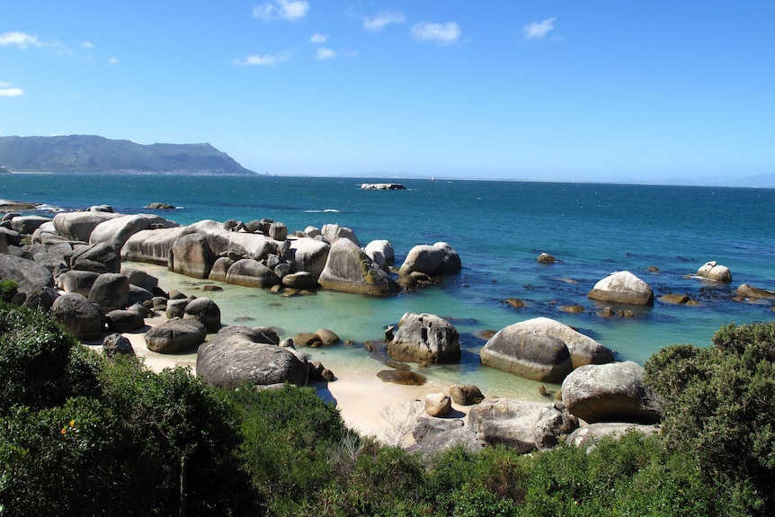 Half-submerged rocks are spread across a seashore, with a mountain in the background and a clear, blue sky.