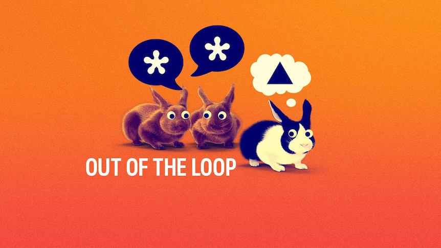 Out Of The Loop podcast