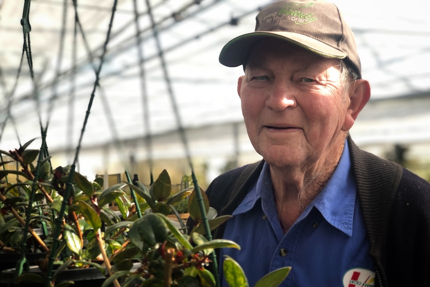 An older man wearing a cap stands in a large greenhouse next to hanging plants