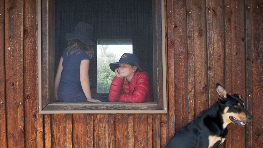 A student leans on the windowsill of a wooden building, looking outward, another girl perched beside her and a dog outside.