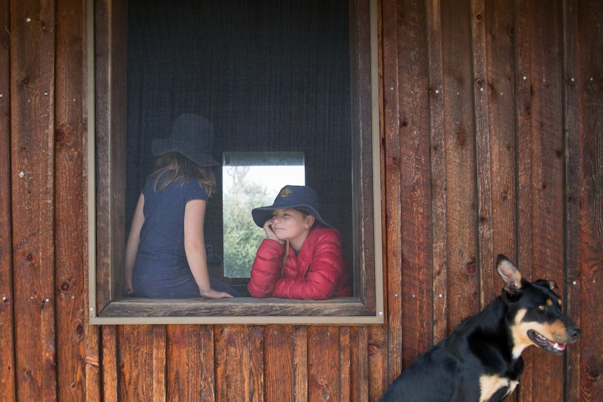 A student leans on the windowsill of a wooden building, looking outward, another girl perched beside her and a dog outside.