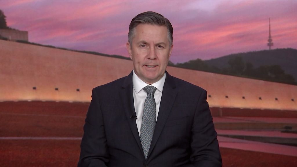 Mark Butler discusses Albanese's scheduled phone call with Donald Trump ...