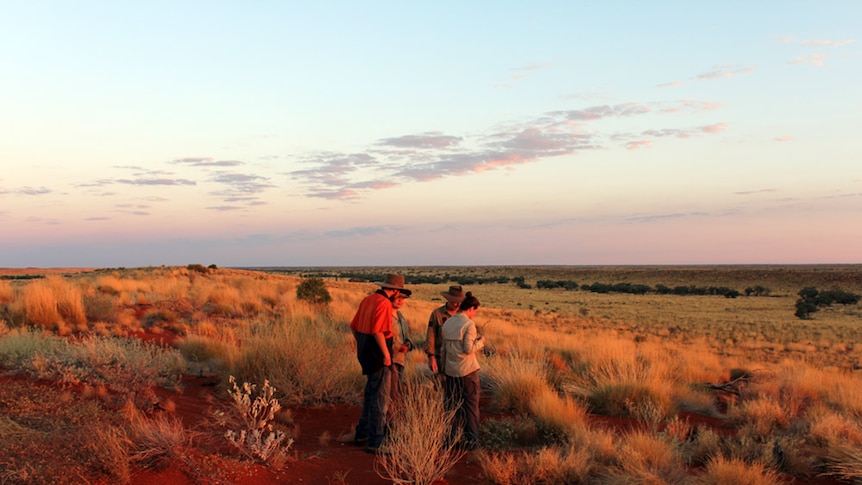 Four desert researchers walk over a sand dune covered in spinifex, as warm light falls across the scene.